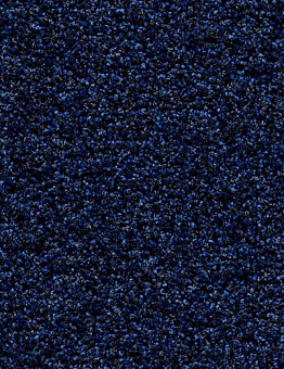 Collection Coral Bright