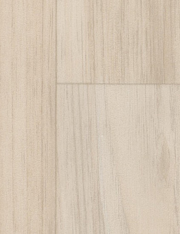 Taralay Impression Comfort Plus