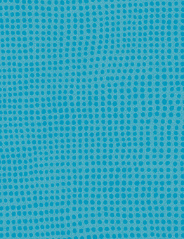 Taralay Initial Compact