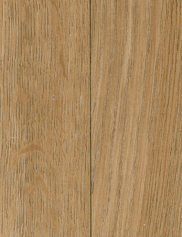 Taralay Initial Comfort