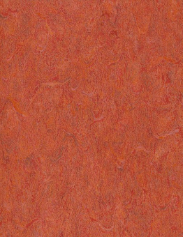 DIAMOND STANDART FORTE