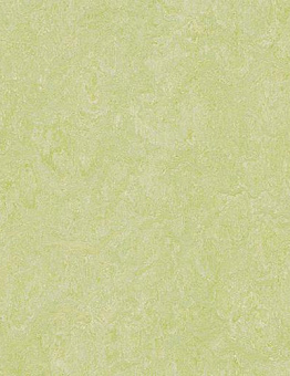 Linoleum Marmoleum Real Of 2.00