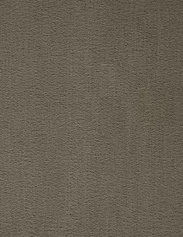 Ковролин Prominent