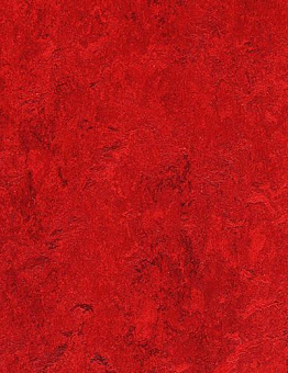 Linoleum Marmoleum Real Of 2.00