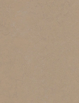 Marmoleum Concrete Linoleum 2.50