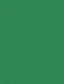 Taraflex Evolution Uni