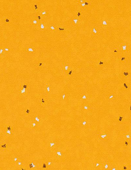 Sphera Evolution Linoleum