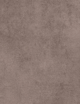 Diamond Standart Talent