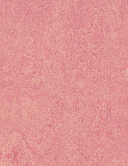 Collection Marmoleum Real 2,50