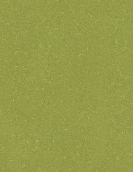 Diamond Tech Silver Knight