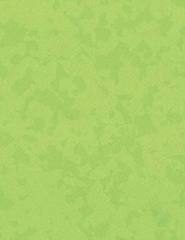 Taralay Premium Compact