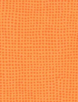 Taralay Initial Compact