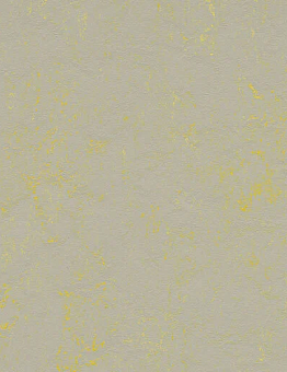 Линолеум Marmoleum Concrete 2,50