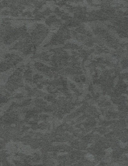 Taralay Impression Comfort Plus