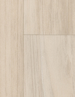 Taralay Impression Compact