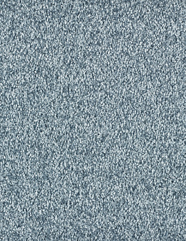 Carpet Blush Inspirations