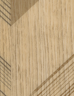 Taralay Impression Compact