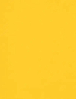 Мodul'up 19db сolour