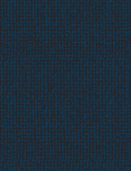 Carpet Carpet Marathon