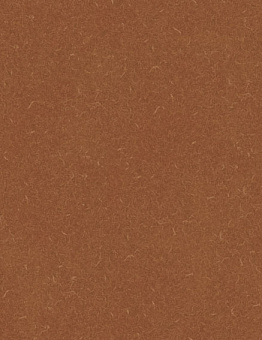 Diamond Tech Silver Knight