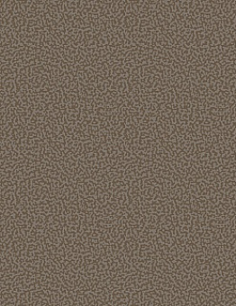 Carpet Kovrolin Arena