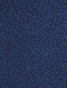 Carpet Constellation