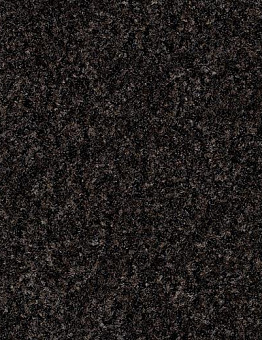 Carpet tiles Coral Interior