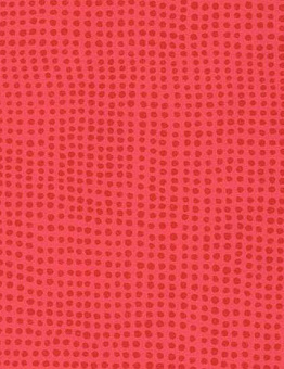 Taralay Initial Compact