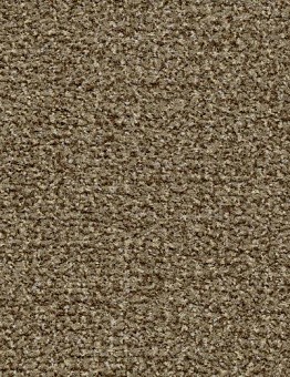 Coral Classic Carpet