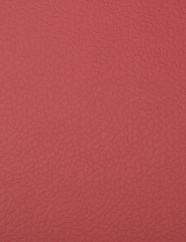 Linoleum Apoluza SportFloor PVC 8.5