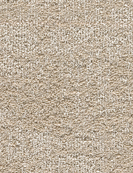 Carpet Art Fusion Carpet