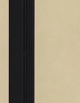 Sarlon Complete Step