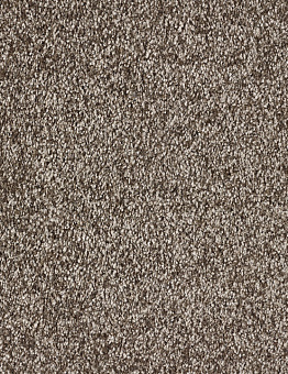 Carpet Blush Inspirations