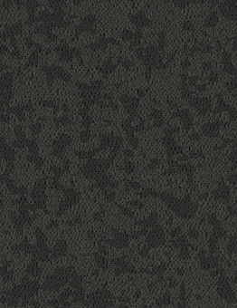 Taralay Premium Compact