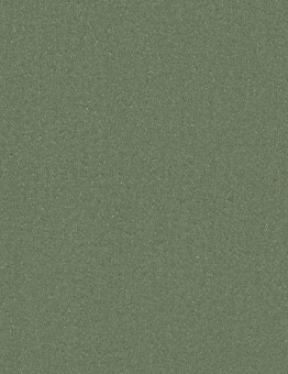 Taralay Impression Compact