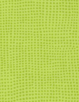 Taralay Initial Compact