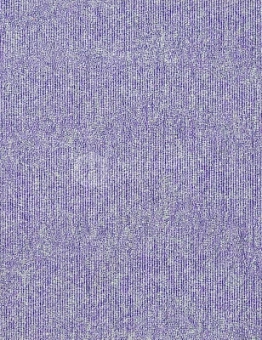 Basis