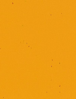 Sphera Energetic Linoleum