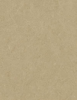 Collection Marmoleum Marbled 2,50