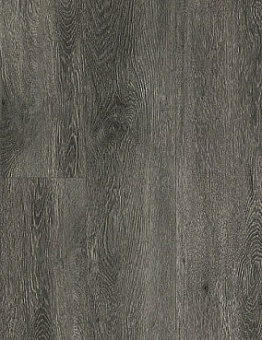 Scala 55 Connect PUR Wood