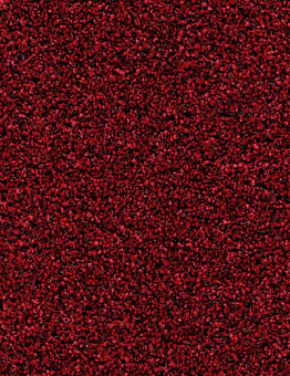 Collection Coral Bright