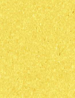 Favorite Acoustic PUR