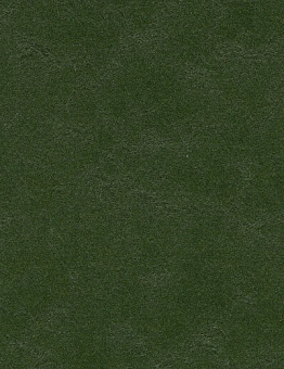 Marmoleum Walton Linoleum 2.50