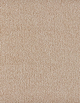 Carpet Sense Highlights