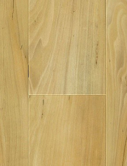 Scala 55 PUR Wood