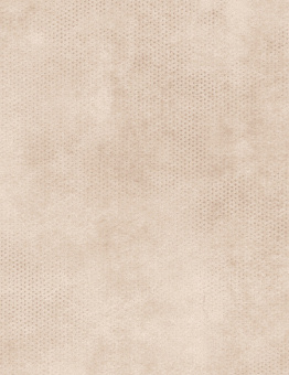 Diamond Standart Talent