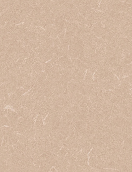 Diamond Tech Silver Knight