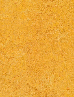 Collection Marmoleum Real 2,50