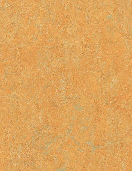 Collection Marmoleum Real 2,50