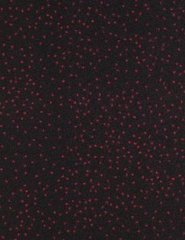 Carpet Constellation